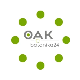 Аватар владельца