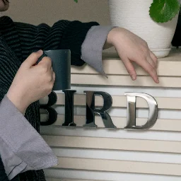 Аватар владельца