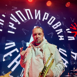 Аватар владельца