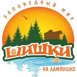 Аватар владельца