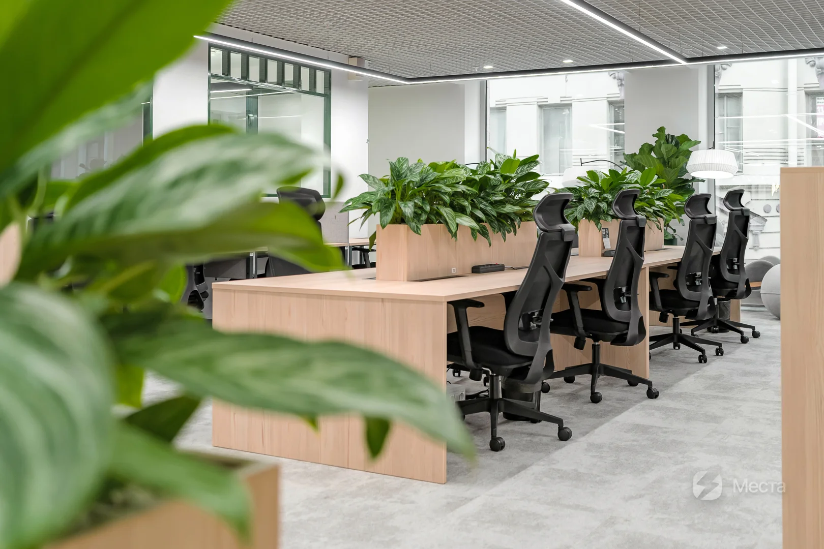 KAZANSKAYA-PAGE OPEN SPACE