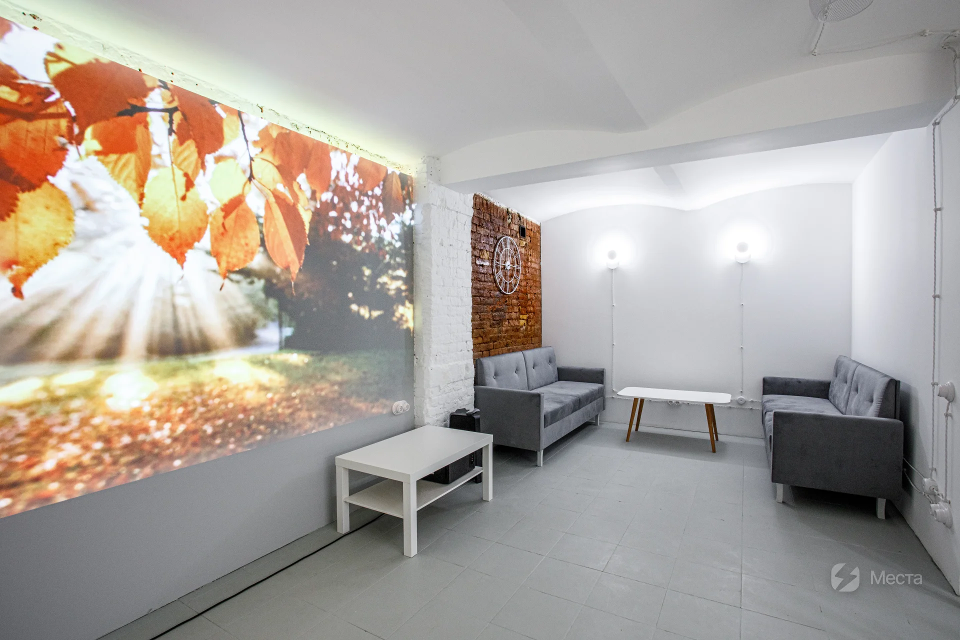 лофт Куритас зал Пиле