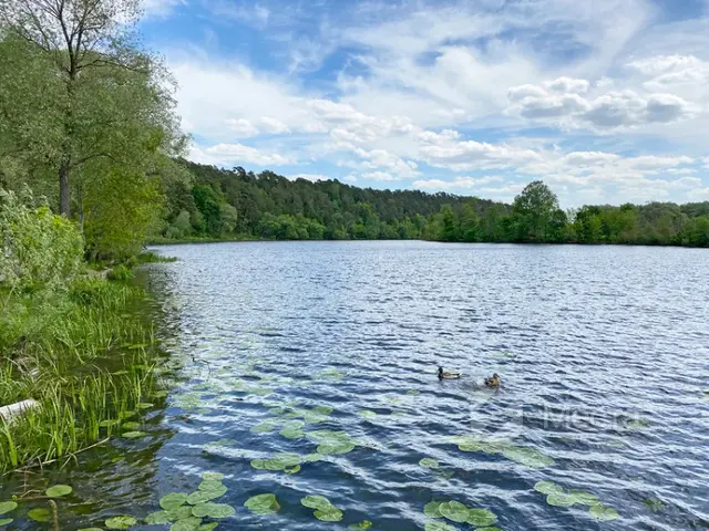 Старица Москвы‑реки (район Красногорска)