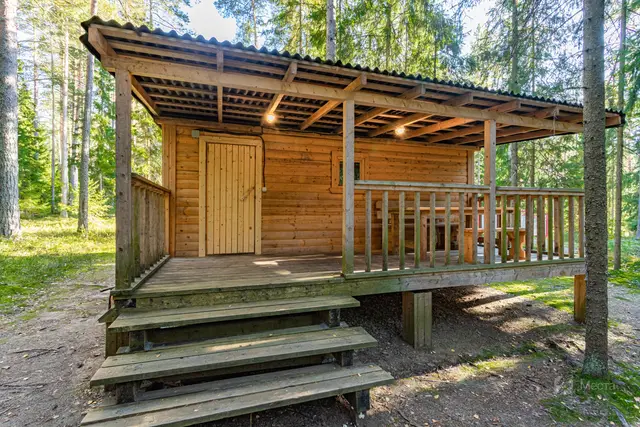 Баня в лесу