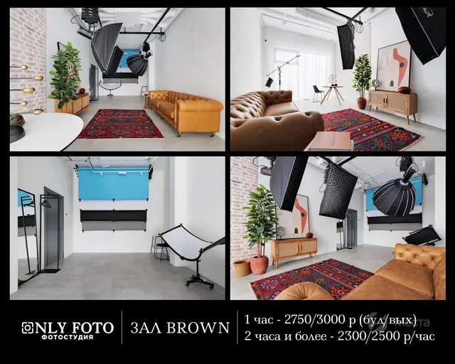 Фотостудия Only Foto зал Brown