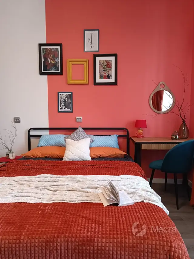 Яркая студия с кондиционером "В гости к Питерскому коту"