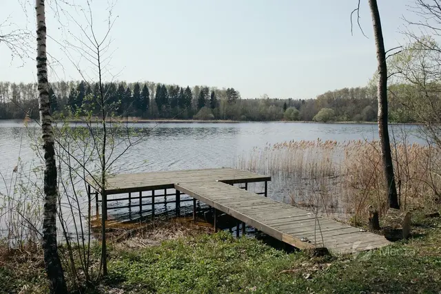 Photo 46