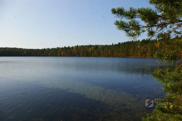 Бесплатная рыбалка в Ленинградской области - Невское озеро
