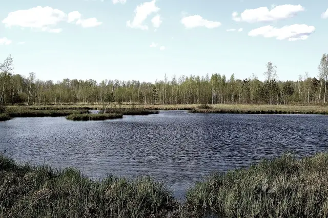 Бесплатная рыбалка в Ленинградской области - Синявинские карьеры