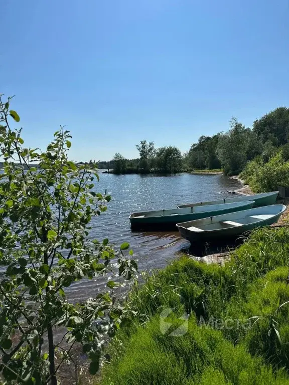Бесплатная рыбалка в Ленинградской области - Озеро Мичуринское