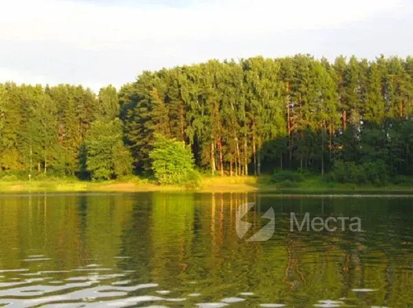 Бесплатная рыбалка в Подмосковье - Истринское водохранилище