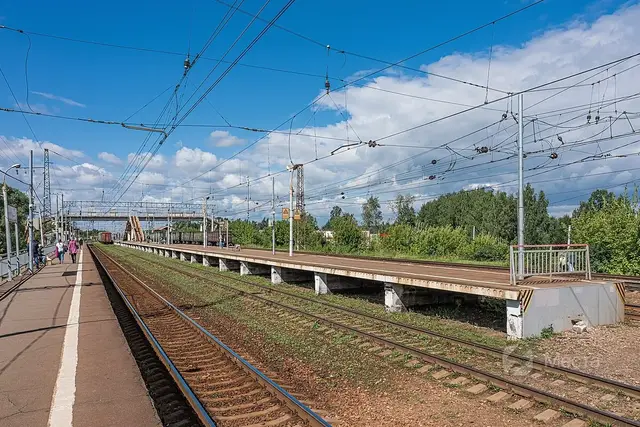 Грибное место в Подмосковье — Леса южнее Белых Столбов (район Сонино)