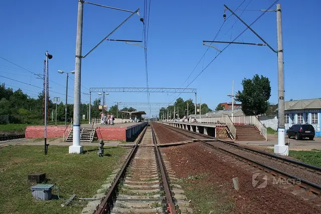 Грибное место в Подмосковье — Лес восточнее Львовской, за Мещерским