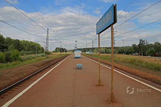 Грибное место в Подмосковье — Леса у Рассудово