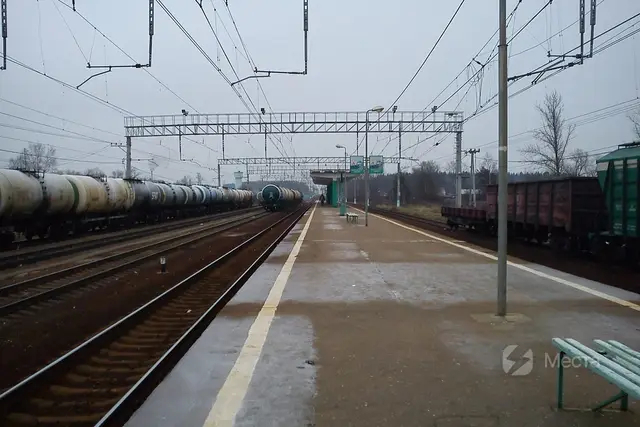 Грибное место в Подмосковье — Леса южнее Петелино