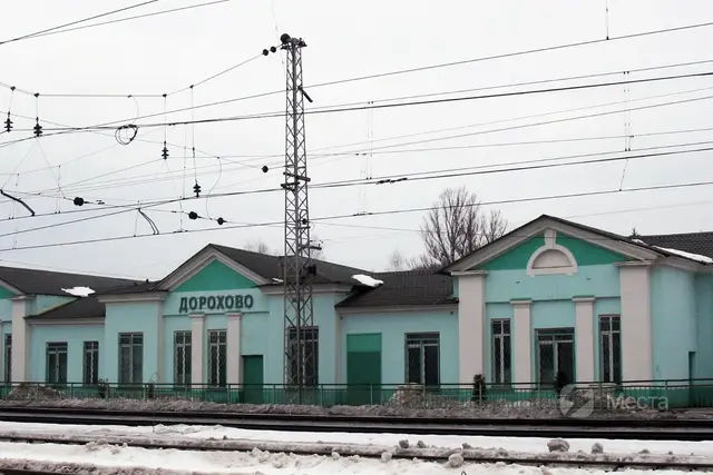 Грибное место в Подмосковье — Леса у Дорохово