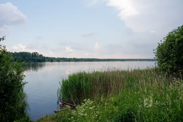 Рыбное место Бесплатная рыбалка в Подмосковье - Медвежьи озёра (Малое)