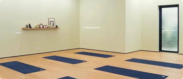 Джой Йога «Joy Yoga» — Большой зал